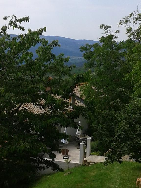 Apartment Bella Vista 2 Buzet Exterior foto